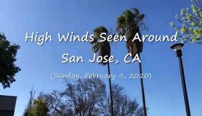 A Crazy Windstorm Around San Jose, CA (2-9-20) Video Clip #2