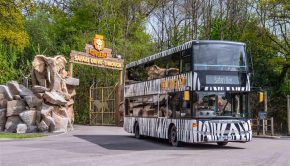 Longleat installs air-cleaning technology on its safari buses