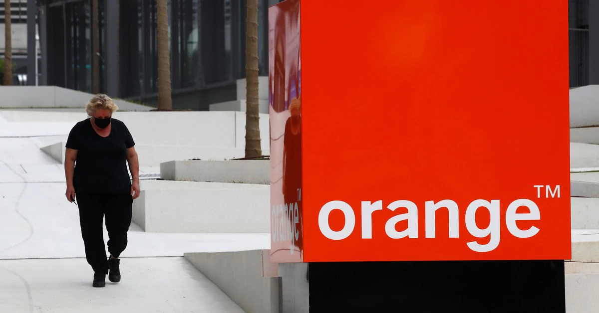 France wants audit to control security of Orange's network after outage