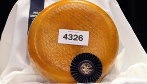 Marieke Gouda smoked gouda was one of 20 finalists in the World Championship Cheese Contest on March 5, 2020, in Madison.