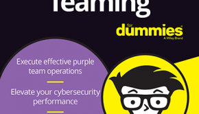 Purple Teaming for Dummies eBook