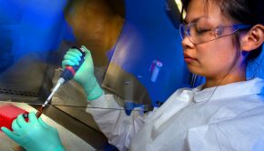 UN reports ‘leap forward’ in regulating DNA-altering technology to benefit all  |