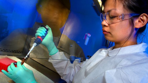 UN reports ‘leap forward’ in regulating DNA-altering technology to benefit all  |