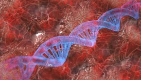 New CRISPR-based technology could revolutionize antibody-based medical diagnostics