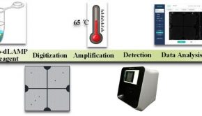 Chip-based digital PCR detection technology and instrument developed
