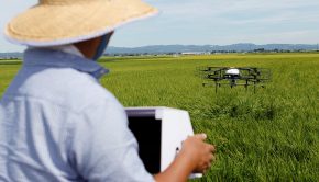 Agtech companies boom as investors target climate-friendly technology