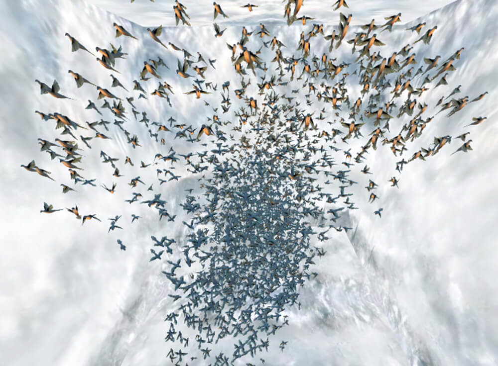 Artificial flock of passenger pigeons, 2021, Digital Image | STIRworld