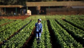 Overcoming the barriers to technology adoption on African farms