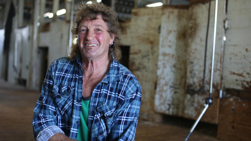 New technology promises to make shearing sheep less of a drag