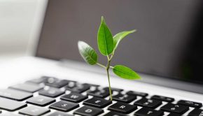 Laptop keyboard with plant growing on it