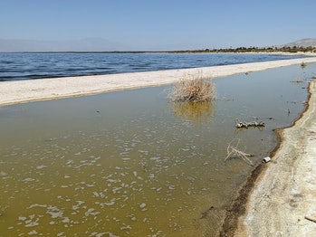 Businesses hope the brine from the Salton Sea can offer a new source of lithium for batteries.
