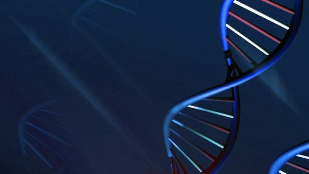 Looking into using DNA to improve technology -