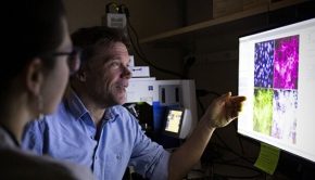 Research team introduces new technology for analysis of protein activity in cells
