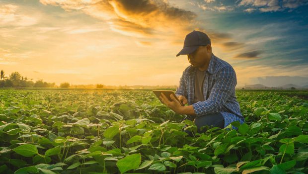 Tinder for Crops? How This Food-Technology Company Is Improving Plant-Based Food