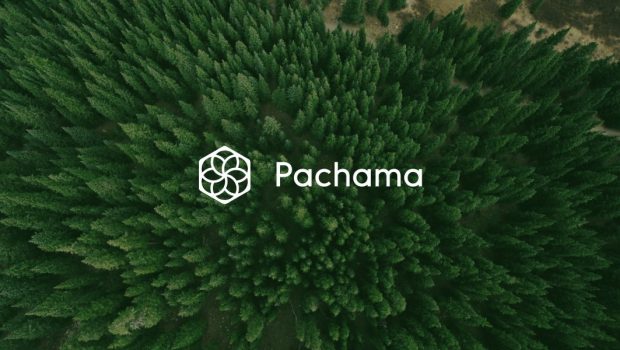 Pachama Is Transforming Carbon Crediting With Cutting-Edge Technology