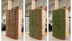 Nature and Technology: Walls That Can Grow Plants
