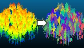 Purdue team introduces advance in automatic forest mapping technology
