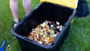 Large-scale food-scrap composting in Madison challenged by technology, logistics