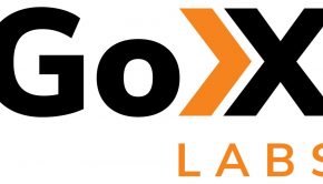 Everguard.ai CEO Joins Board at Technology Innovator GoX Labs