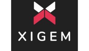 Xigem Technologies Announces Binding Letter of Intent to Acquire Automotive Shopping and Delivery Platform EAFdigital