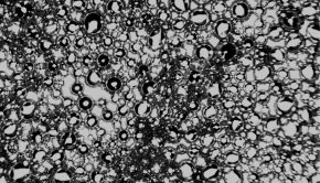 Microscopy image of nanobubbles after sonication using the UCF invention