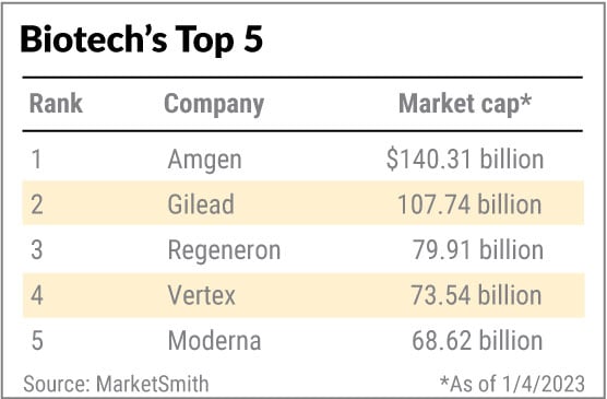 Top 5 biotech stocks in market capitalization chart