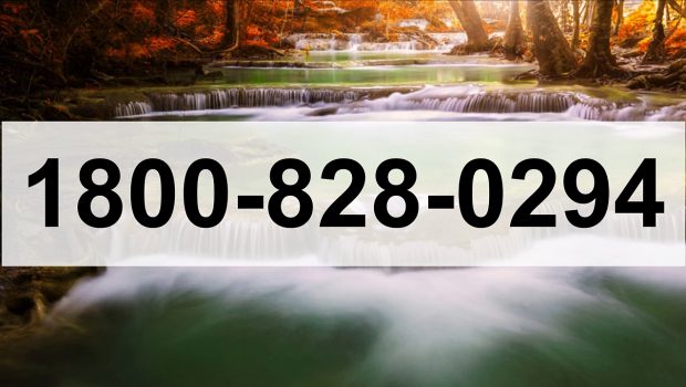 1800-828-0294 MCAFEE INTERNET SECURITY PHONE NUMBER.