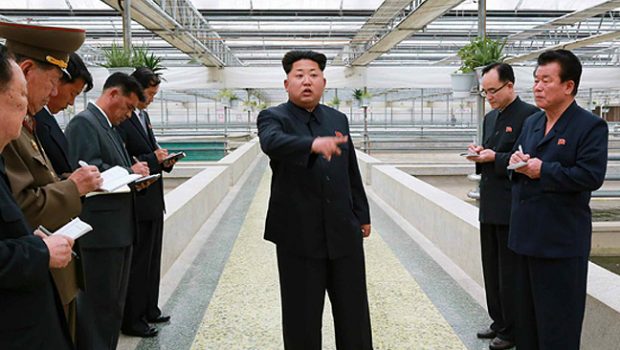 Kim Jong-un at the terrapin farm. Pic: Rodong Sinmun