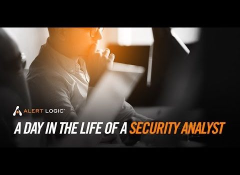 A Day in the Life of a Security Analyst