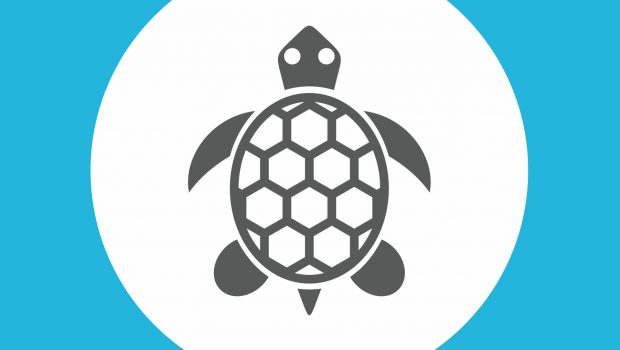 Brazen nation-state actors behind 'Sea Turtle' DNS hijacking campaign