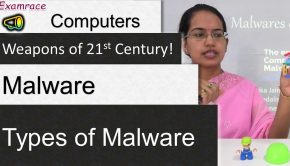Computer Malware & Types of Malware - Weapons of 21st Century!