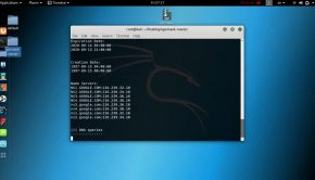 Gasmask - All in one Information gathering tool - OSINT - Kali Linux 2018.1