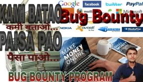 [Hindi] Bug Bounty Program? How to make money?? Bug hunter?