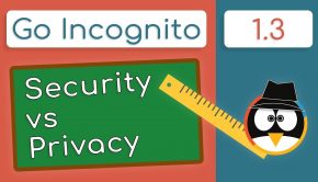 Security vs Privacy! What's The Difference? | Go Incognito 1.3