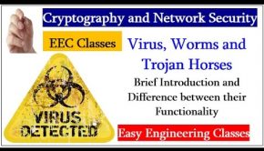 Virus, Worms and Trojan Horses Brief Introduction and Difference between their Functionality