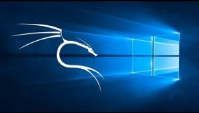 how to install kali linux hacking tools on Windows