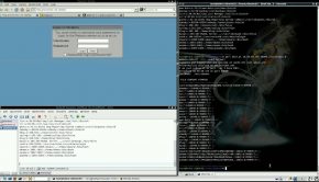 pwnOS with Metasploit, Nmap, Nessus and Exploit-DB.com