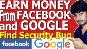"Bug Bounty" Programs for Earning Money