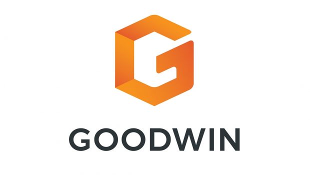 2020 Year In Review Securities Litigation Against Technology Companies | Goodwin