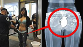 5 Craziest Things Found By Airport Security