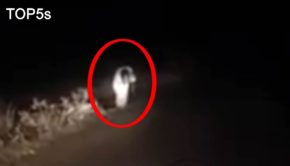 5 Strangest and Most Mysterious Videos On The Internet