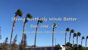 A Crazy Windstorm Around San Jose, CA (2-9-20) Video Clip #4