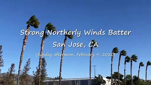 A Crazy Windstorm Around San Jose, CA (2-9-20) Video Clip #4