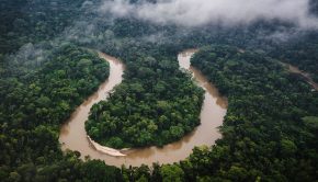 A Looming El Niño Could Dry the Amazon