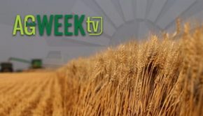 AgweekTV Full Show: Farmfest, wheat harvest, disaster aid, ag technology, Minnesota farm milestone