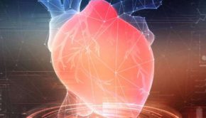 Anteris Technologies Ltd’s heart technology on the pulse at London conference 