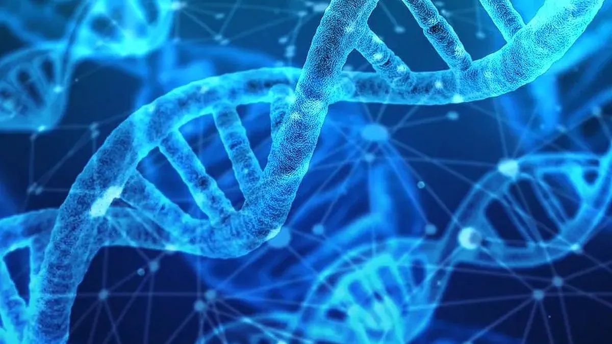 Australian Police Say They Are Using Advanced DNA Technology to Identify Crime Suspects