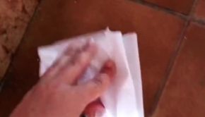 Baby Chicken Interrupts Woman Cleaning Floor With Paper Towel