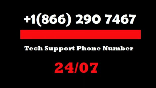 Bitdefender Customer Service (1-866-29O-7467) Support Phone Number