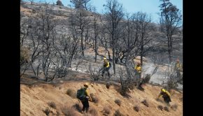 Bobcat fire won’t be fully contained for a month
